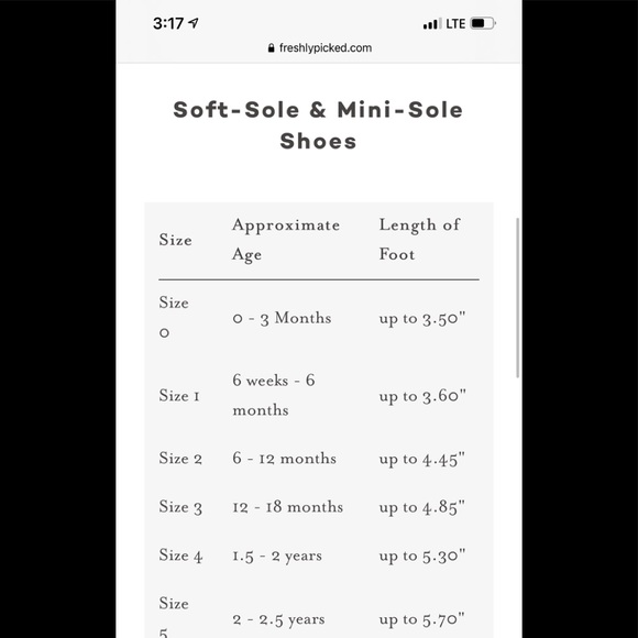 Freshly Picked Candy Corn - Picture 6 of 6